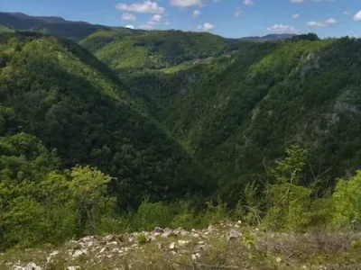 WhatsApp Image 2024-07-15 at 10.58.30