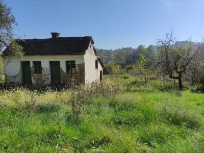 WhatsApp-Image-2024-10-23-at-11.27.26-1