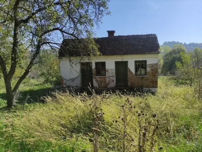 WhatsApp-Image-2024-10-23-at-11.27.27-1