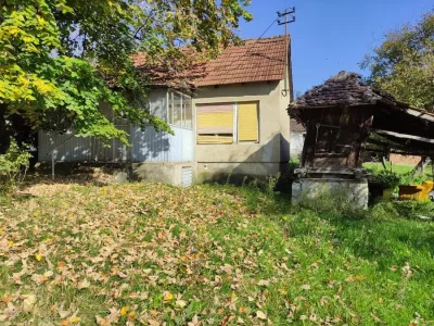 WhatsApp-Image-2024-10-23-at-11.27.27