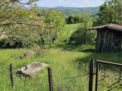 WhatsApp Image 2025-05-01 at 17.25.31 (2)