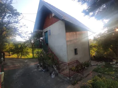 WhatsApp Image 2025-08-12 at 19.39.36