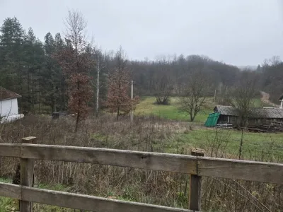 WhatsApp Image 2025-12-15 at 11.53.05