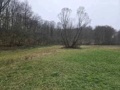 WhatsApp Image 2025-12-15 at 11.53.06