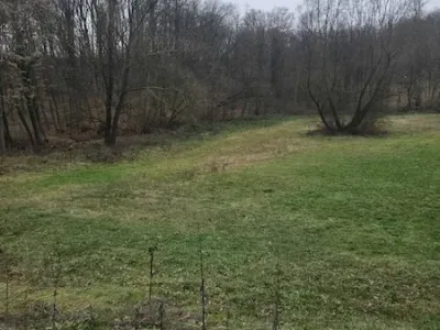 WhatsApp Image 2025-12-15 at 11.53.07