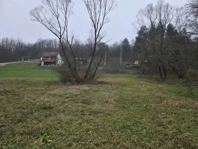 WhatsApp Image 2025-12-15 at 11.53.10