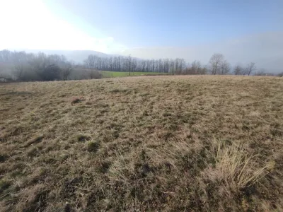 WhatsApp Image 2025-12-22 at 09.15.26