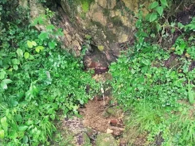 WhatsApp Image 2025-12-26 at 12.46.39 (3)