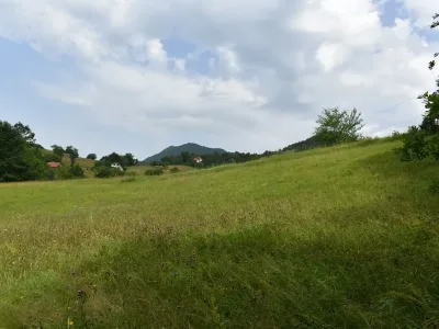 WhatsApp Image 2025-12-26 at 12.48.15 (3)