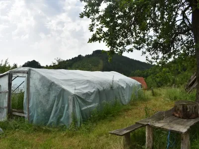 WhatsApp Image 2025-12-26 at 12.48.15 (4)