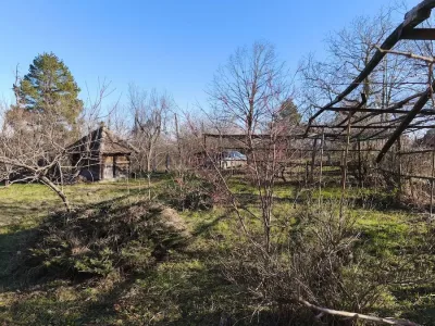 WhatsApp Image 2026-01-27 at 18.27.33 (1)