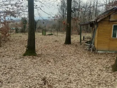 WhatsApp Image 2026-03-05 at 12.37.54 (1)