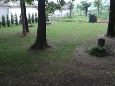 WhatsApp Image 2026-03-05 at 12.37.54