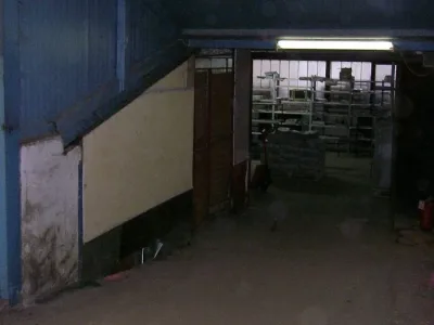 OLYMPUS DIGITAL CAMERA