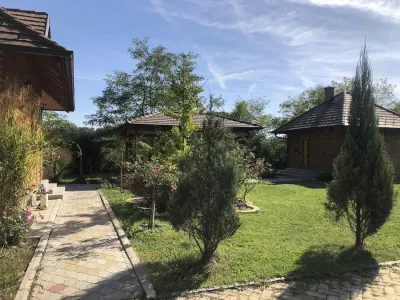 viber_image_2024-12-12_12-00-55-081