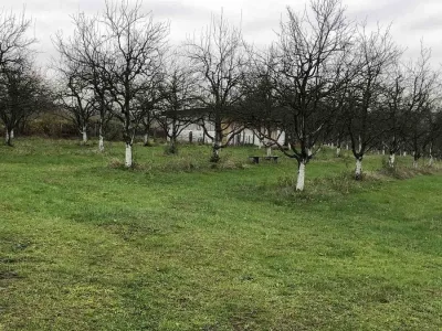 viber_image_2024-12-12_12-00-55-396