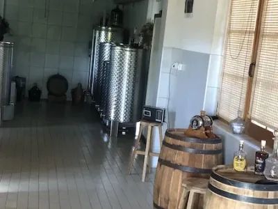 viber_image_2024-12-12_12-00-56-461