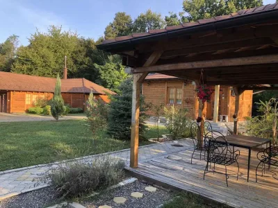 viber_image_2024-12-12_12-00-56-971