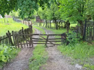 viber_image_2025-03-21_11-24-33-530