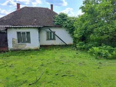 viber_image_2025-03-21_11-24-34-973