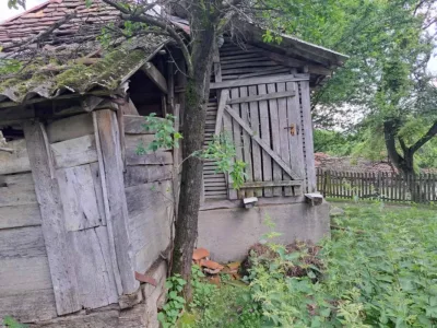 viber_image_2025-03-21_11-24-35-062