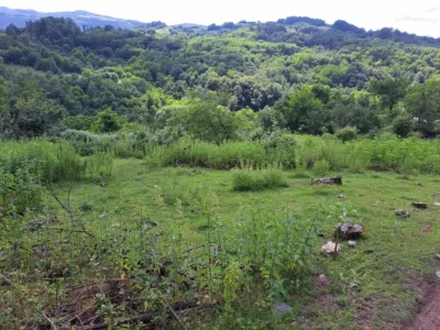 viber_image_2025-03-21_11-24-35-130