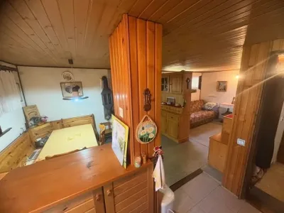 viber_image_2025-04-24_11-45-11-236