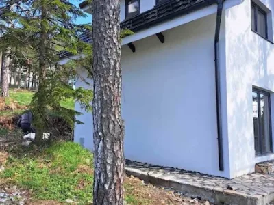 viber_image_2025-07-16_18-42-35-196