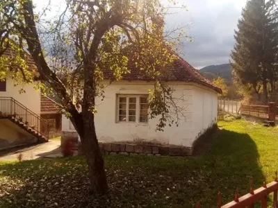 viber_image_2025-09-12_13-05-03-769