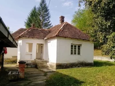 viber_image_2025-09-12_13-05-03-998