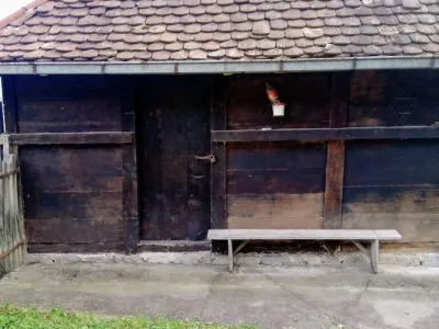 viber_image_2025-09-12_13-05-04-013