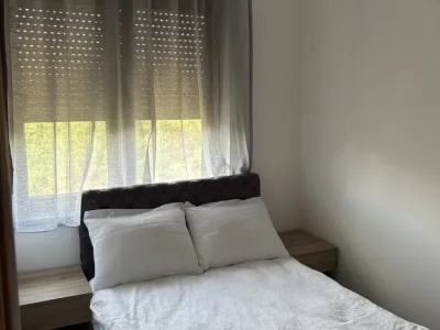 viber_image_2026-03-07_14-12-03-411