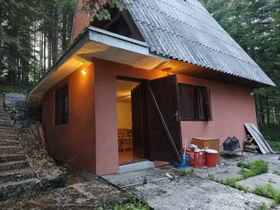 viber_image_2026-03-31_17-33-40-184