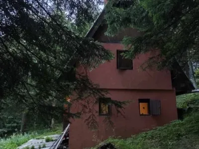 viber_image_2026-03-31_17-33-40-456